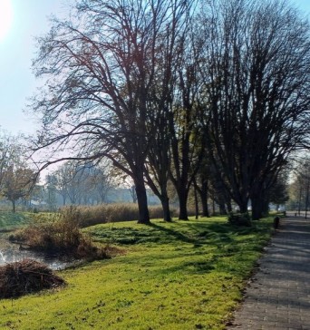 Wanneer start de opleiding in Leidschendam?